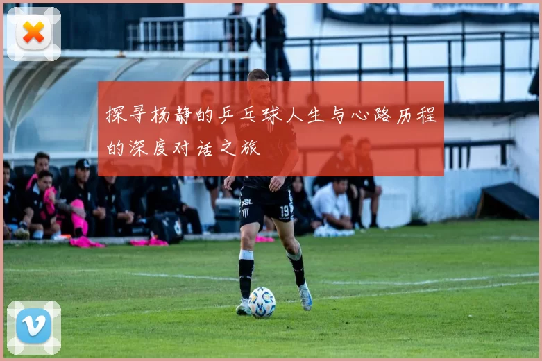 探寻杨静的乒乓球人生与心路历程的深度对话之旅