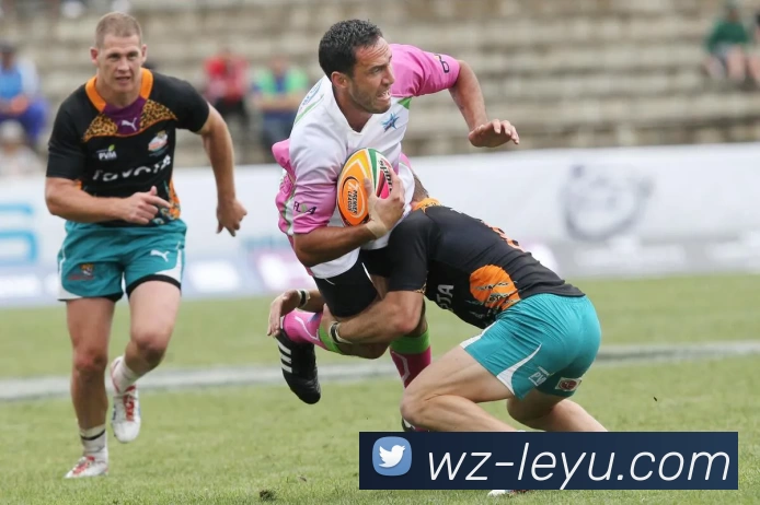 乐鱼平台生态图